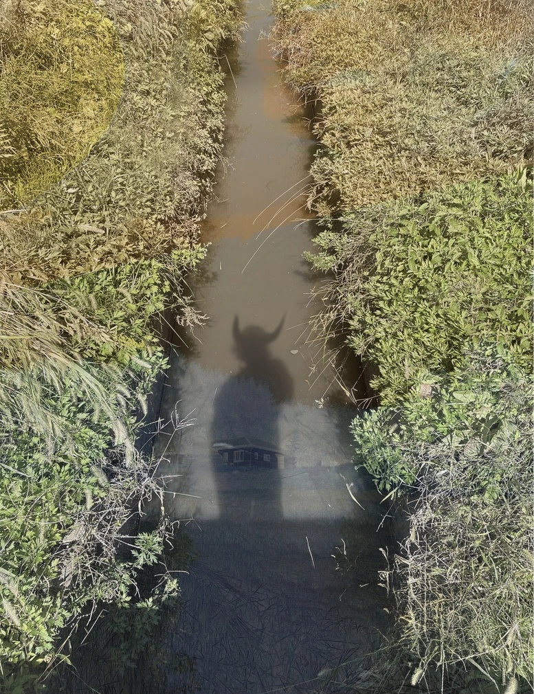 草に囲まれた細い水路に映る、角のある人物の影